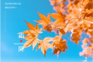 霜降 | 秋意濃，霜降至